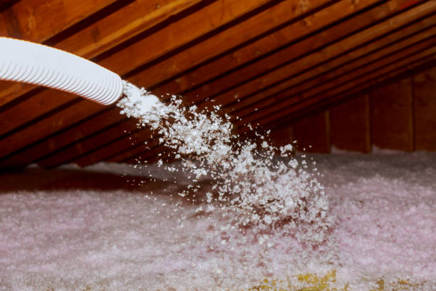 Best Commercial Insulation in Cassopolis, MI