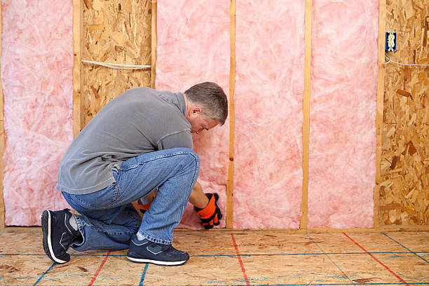 Best Residential Insulation in Cassopolis, MI